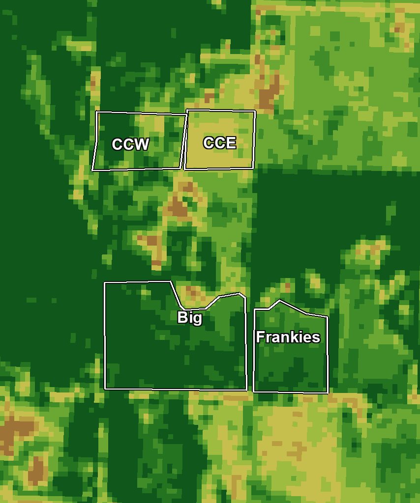 Live satellite grass reading of Matt's paddocks: Big and Frankie's reading ready to graze