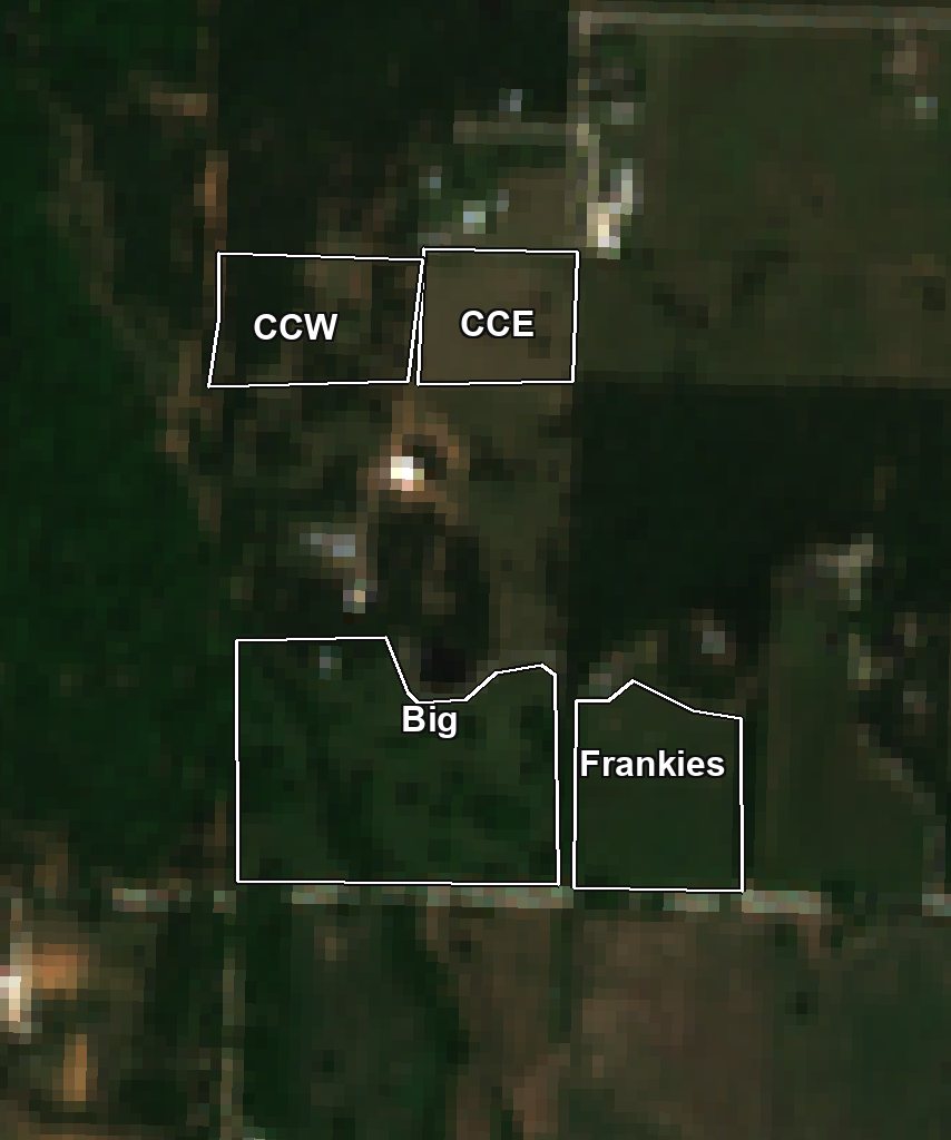 Satellite photo with the four grazing paddocks (CCW, CCE, Big, Frankie's) outlined and labeled, surrounded by woods and home place, in Cooke County near Gainesville, Texas